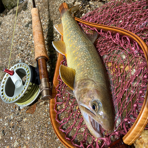 フライフィッシングガイド