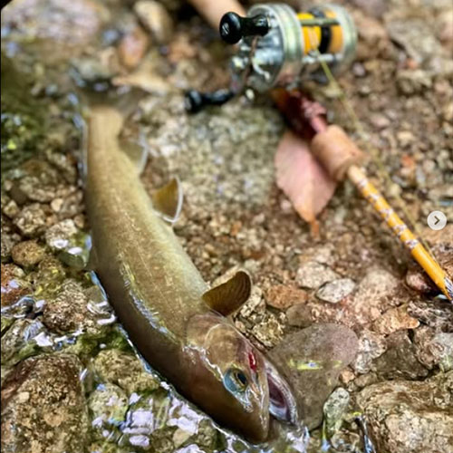 渓流ルアーフィッシングガイド