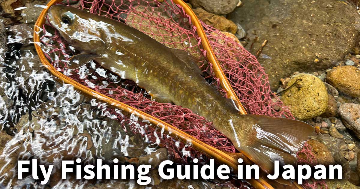 Fly fishing guide in japan