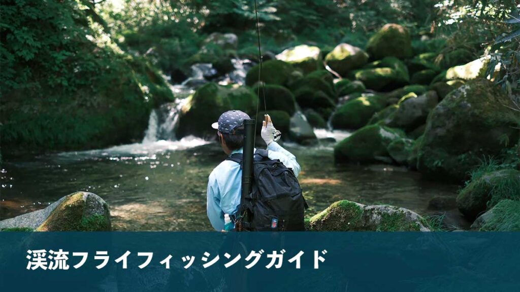 渓流フライフィッシングガイド