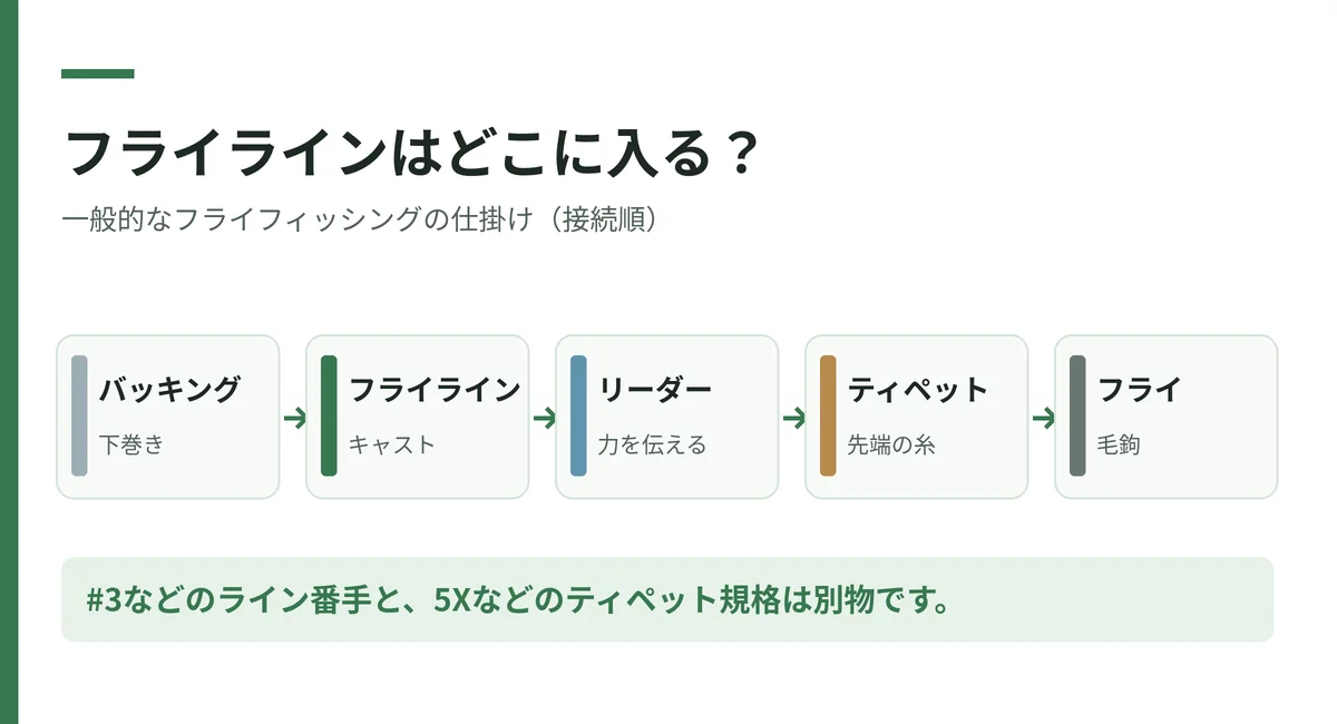 バッキングラインからフライライン、リーダー、ティペット、フライまでの接続順
