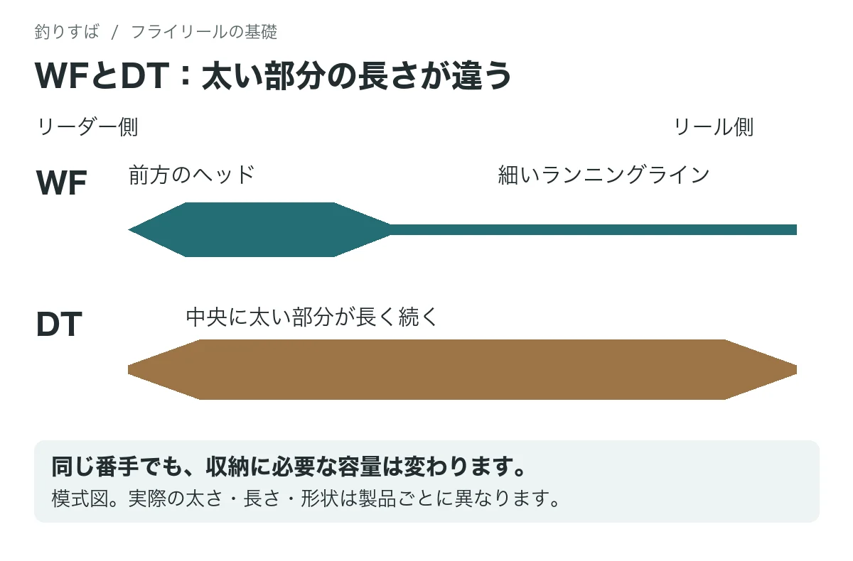 前方に太いヘッドがあるWFと、中央に太い部分が長く続くDTの模式図